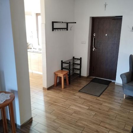Noclegi Pod Debem سكافينا المظهر الخارجي الصورة